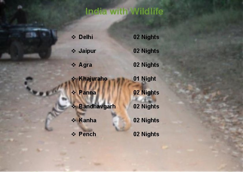 India with Wildlife v Delhi 02 Nights v Jaipur 02 Nights v Agra 02