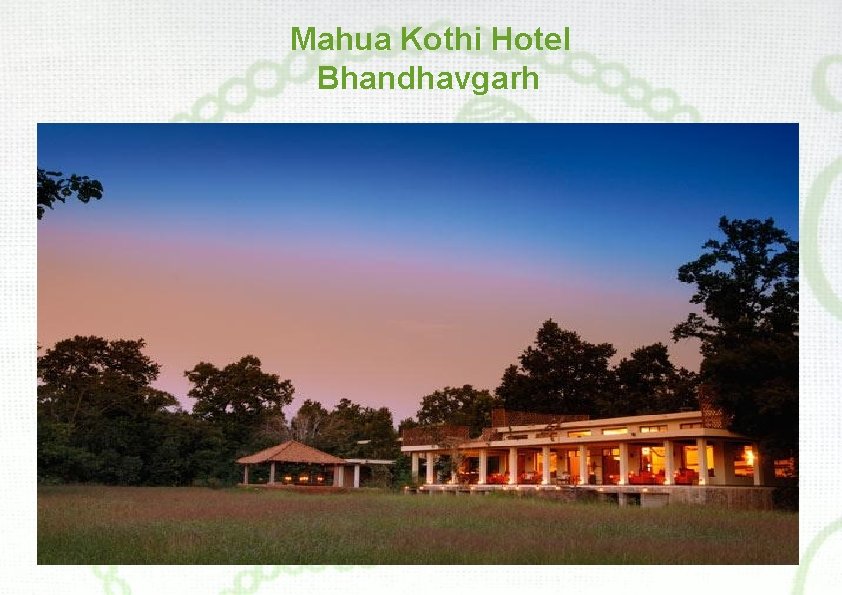 Mahua Kothi Hotel Bhandhavgarh 