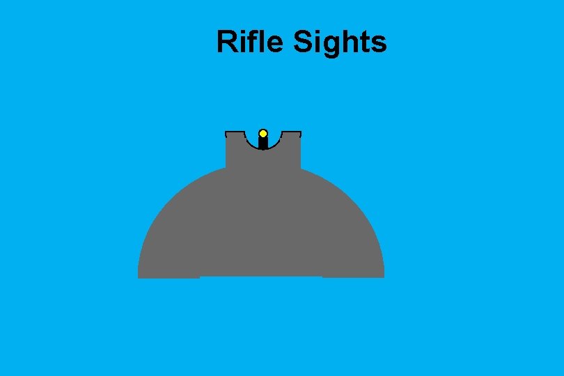 Rifle Sights 