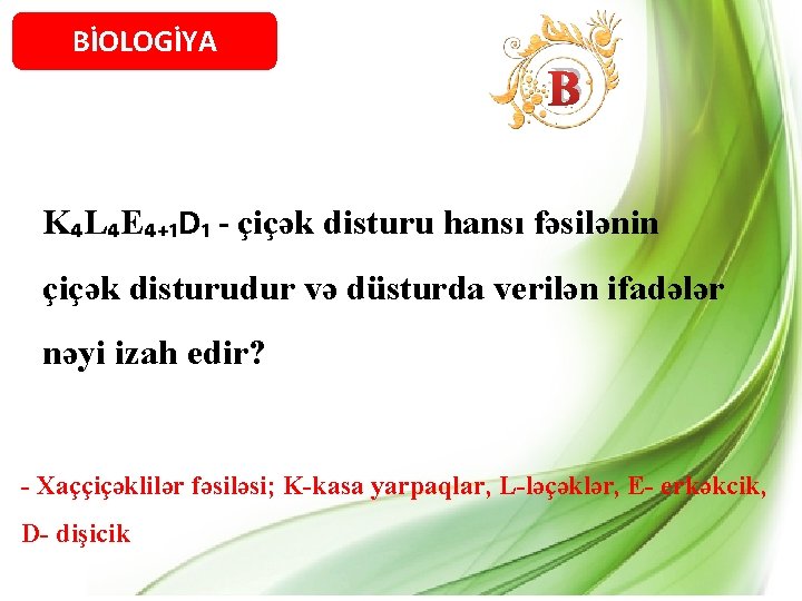 BİOLOGİYA B K₄L₄E₄₊₁D₁ - çiçək disturu hansı fəsilənin çiçək disturudur və düsturda verilən ifadələr