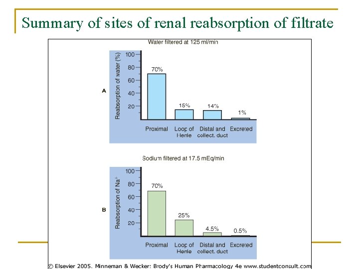 Summary of sites of renal reabsorption of filtrate 