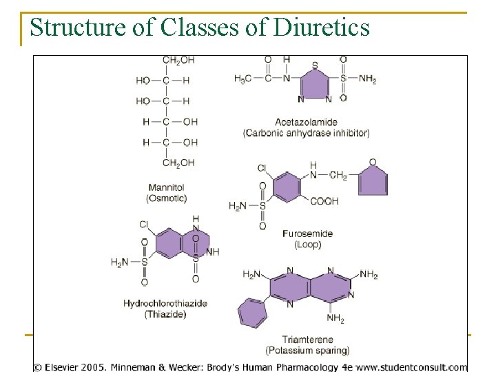 Structure of Classes of Diuretics 