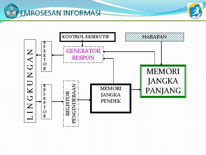 PEMROSESAN INFORMASI E F E K T O R R E S E P