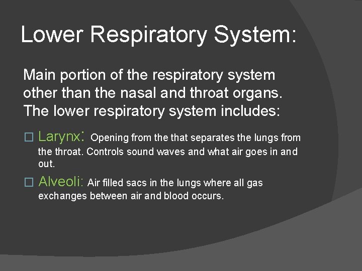 Lower Respiratory System: Main portion of the respiratory system other than the nasal and