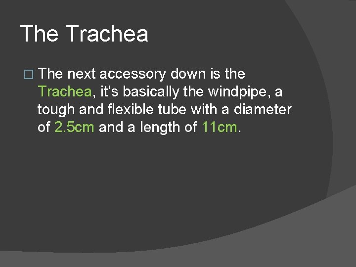 The Trachea � The next accessory down is the Trachea, it’s basically the windpipe,