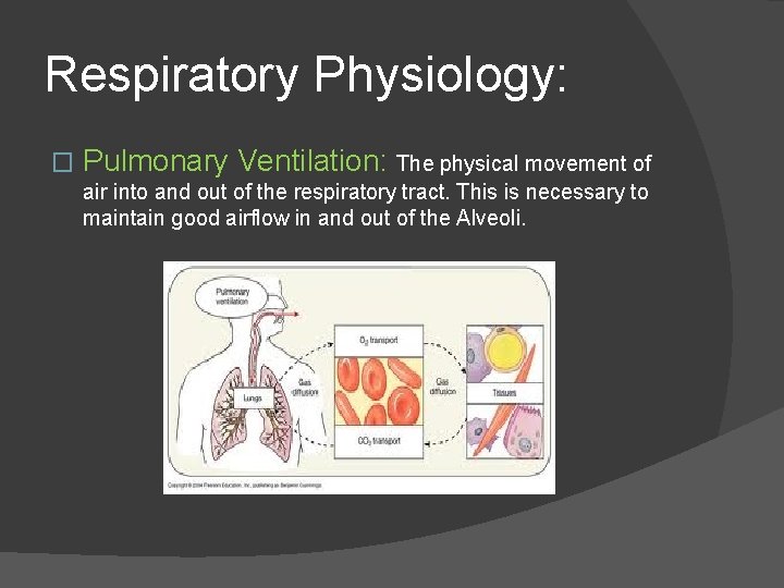 Respiratory Physiology: � Pulmonary Ventilation: The physical movement of air into and out of