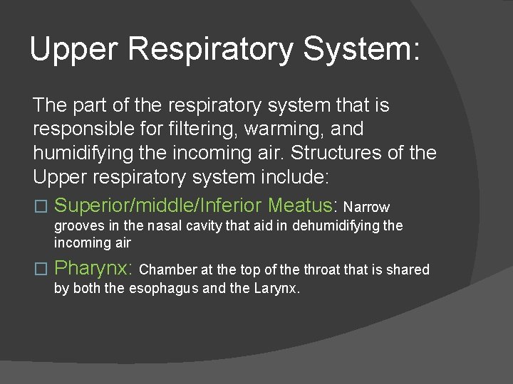 Upper Respiratory System: The part of the respiratory system that is responsible for filtering,