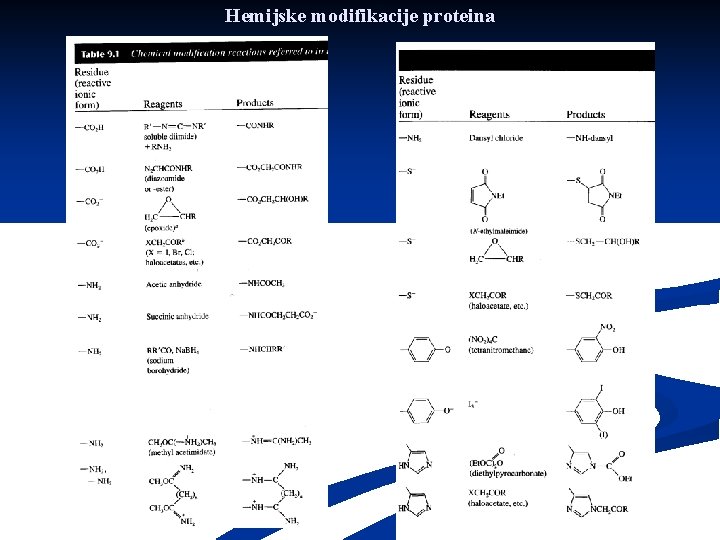 Hemijske modifikacije proteina 