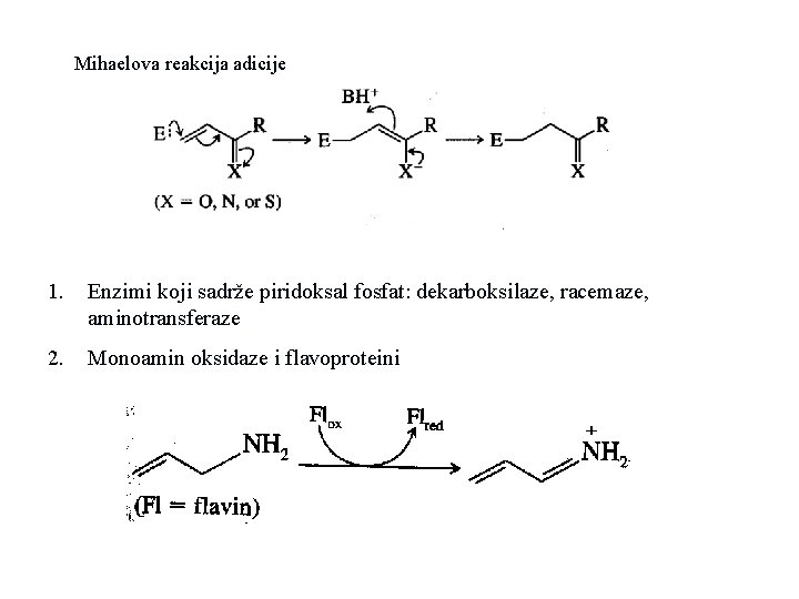 Mihaelova reakcija adicije 1. Enzimi koji sadrže piridoksal fosfat: dekarboksilaze, racemaze, aminotransferaze 2. Monoamin