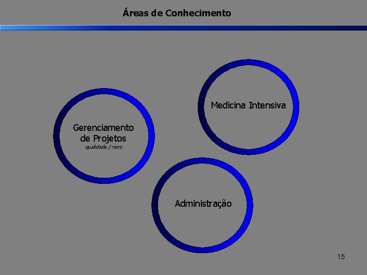Áreas de Conhecimento Medicina Intensiva Gerenciamento de Projetos qualidade / risco Administração 15 