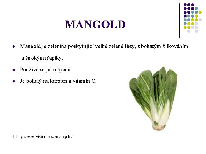 MANGOLD l Mangold je zelenina poskytující velké zelené listy, s bohatým žilkováním a širokými