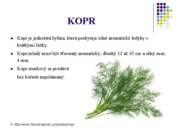 KOPR l Kopr je jednoletá bylina, která poskytuje silně aromatické lodyhy s krátkými lístky.