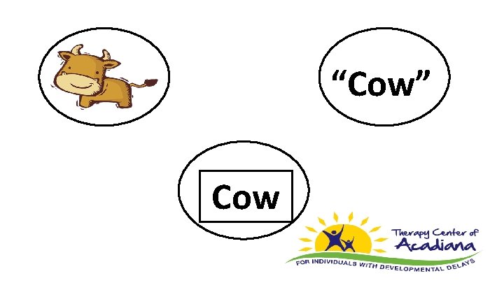 “Cow” Cow 