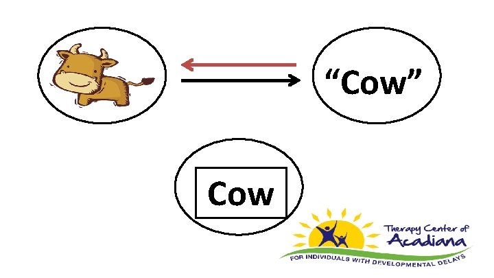 “Cow” Cow 