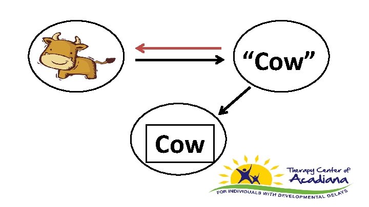 “Cow” Cow 