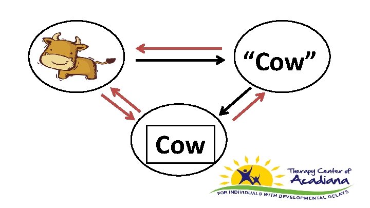 “Cow” Cow 