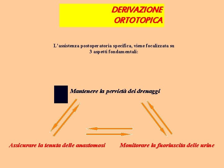 DERIVAZIONE ORTOTOPICA L’assistenza postoperatoria specifica, viene focalizzata su 3 aspetti fondamentali: Mantenere la pervietà