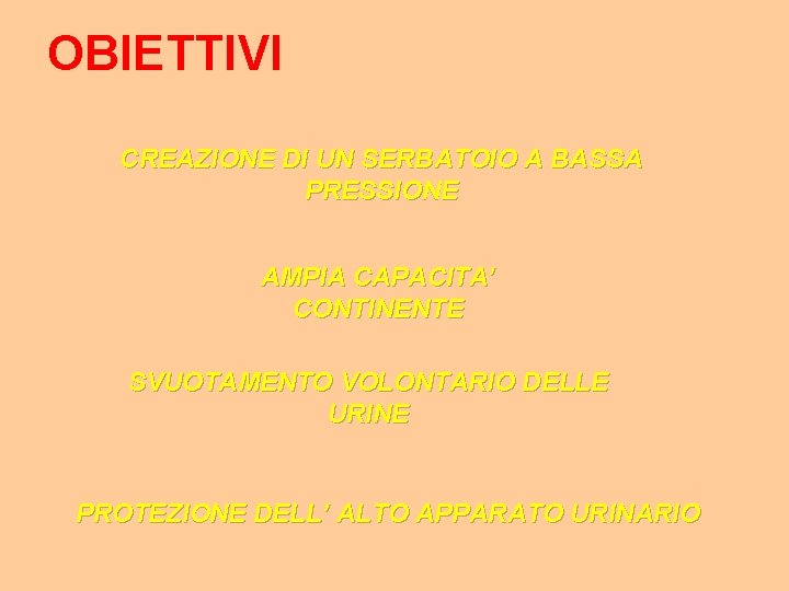 OBIETTIVI CREAZIONE DI UN SERBATOIO A BASSA PRESSIONE AMPIA CAPACITA’ CONTINENTE SVUOTAMENTO VOLONTARIO DELLE