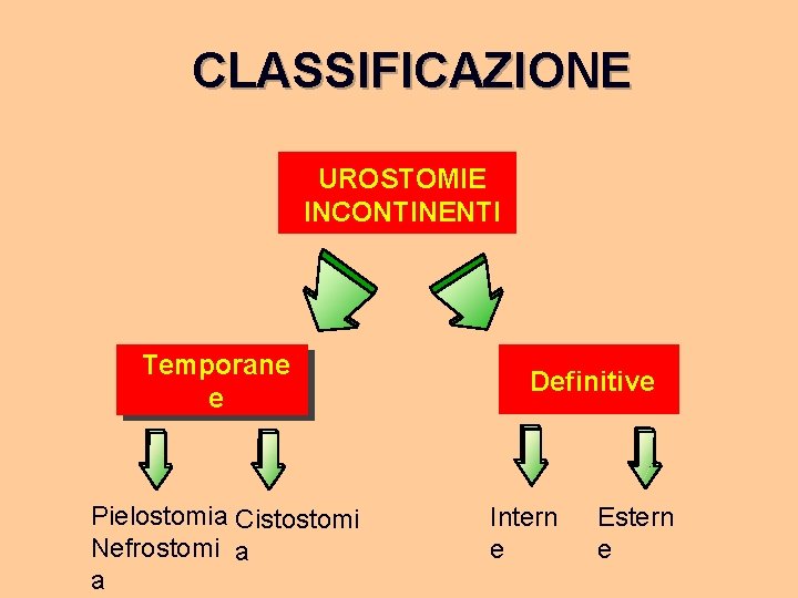CLASSIFICAZIONE UROSTOMIE INCONTINENTI Temporane e Pielostomia Cistostomi Nefrostomi a a Definitive Intern e Estern