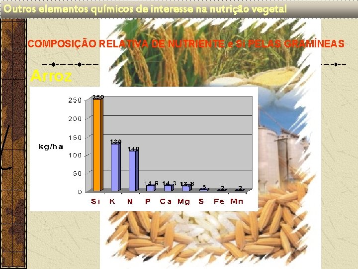 Outros elementos químicos de interesse na nutrição vegetal COMPOSIÇÃO RELATIVA DE NUTRIENTE e Si