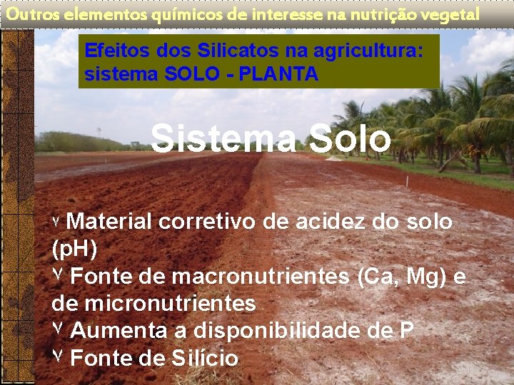 Outros elementos químicos de interesse na nutrição vegetal Efeitos dos Silicatos na agricultura: sistema