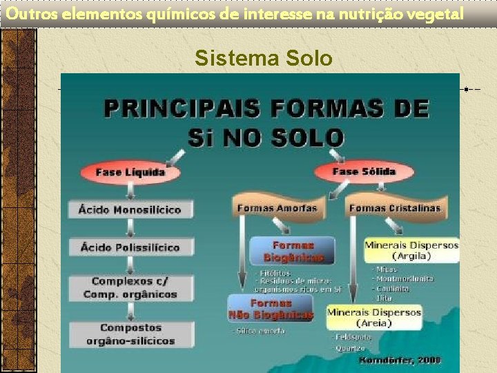 Outros elementos químicos de interesse na nutrição vegetal Sistema Solo 