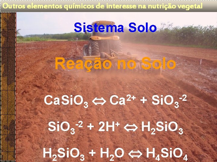 Outros elementos químicos de interesse na nutrição vegetal Sistema Solo Reação no Solo Ca.