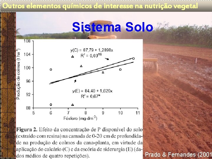 Outros elementos químicos de interesse na nutrição vegetal Sistema Solo Prado & Fernandes (2001