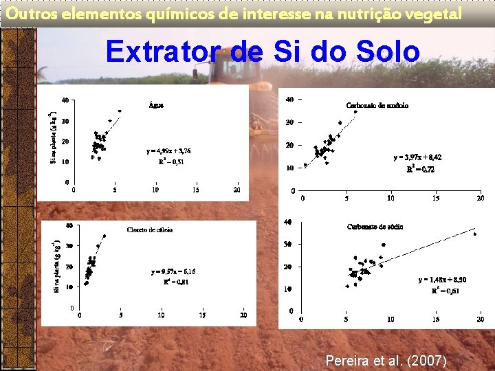 Outros elementos químicos de interesse na nutrição vegetal Extrator de Si do Solo Pereira