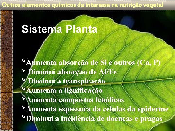 Outros elementos químicos de interesse na nutrição vegetal Sistema Planta ۷ Aumenta absorção de