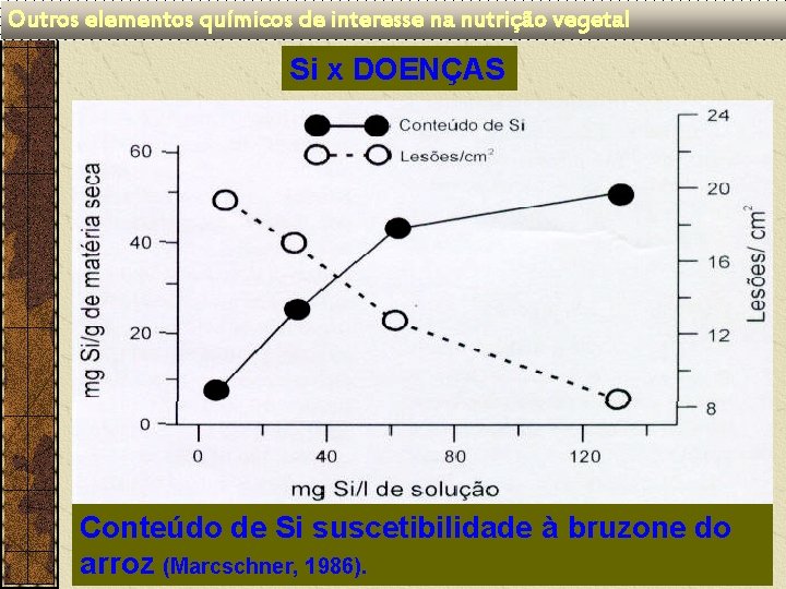 Outros elementos químicos de interesse na nutrição vegetal Si x DOENÇAS Conteúdo de Si