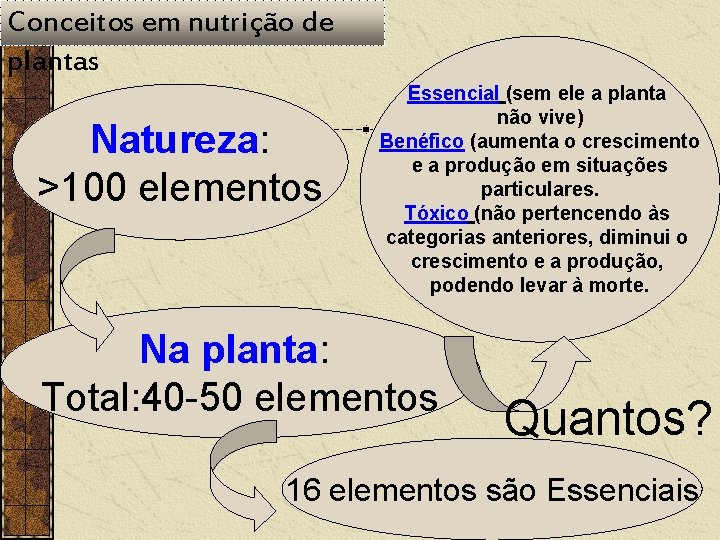 Conceitos em nutrição de plantas Natureza: >100 elementos Essencial (sem ele a planta não