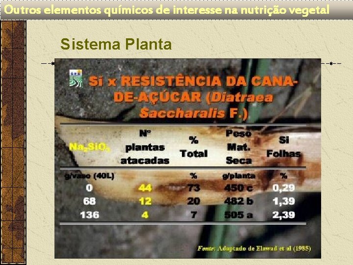 Outros elementos químicos de interesse na nutrição vegetal Sistema Planta 