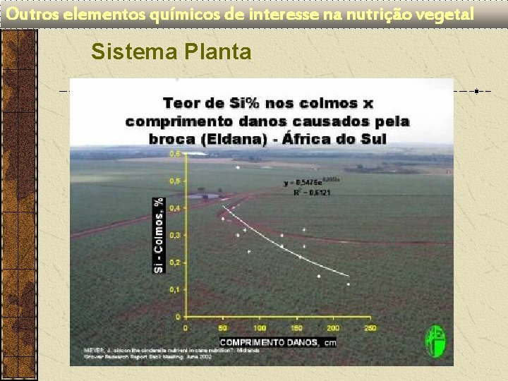 Outros elementos químicos de interesse na nutrição vegetal Sistema Planta 