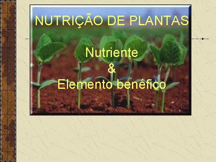 NUTRIÇÃO DE PLANTAS Nutriente & Elemento benéfico 