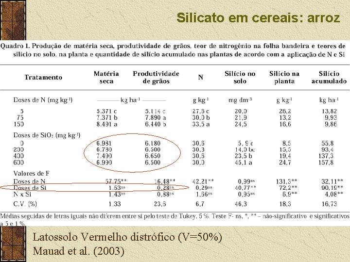 Silicato em cereais: arroz Latossolo Vermelho distrófico (V=50%) Mauad et al. (2003) 