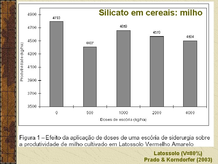 Silicato em cereais: milho Latossolo (V=80%) Prado & Korndorfer (2003) 