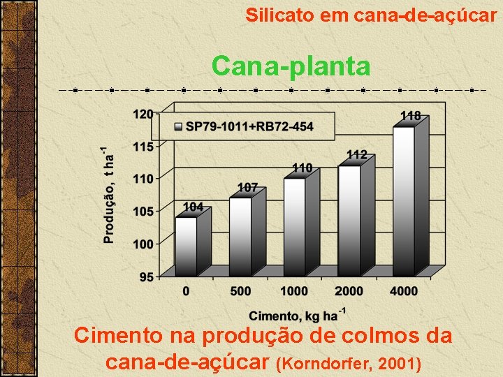 Silicato em cana-de-açúcar Cana-planta Cimento na produção de colmos da cana-de-açúcar (Korndorfer, 2001) 