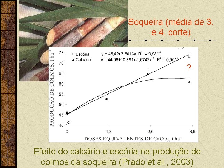 Soqueira (média de 3. e 4. corte) ? Efeito do calcário e escória na