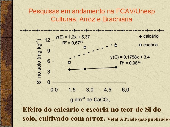 Pesquisas em andamento na FCAV/Unesp Culturas: Arroz e Brachiária Efeito do calcário e escória