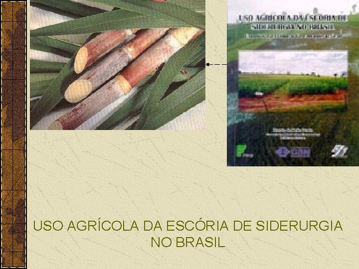 USO AGRÍCOLA DA ESCÓRIA DE SIDERURGIA NO BRASIL 