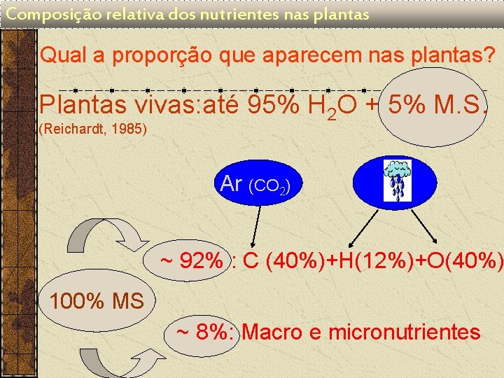 Composição relativa dos nutrientes nas plantas Qual a proporção que aparecem nas plantas? Plantas