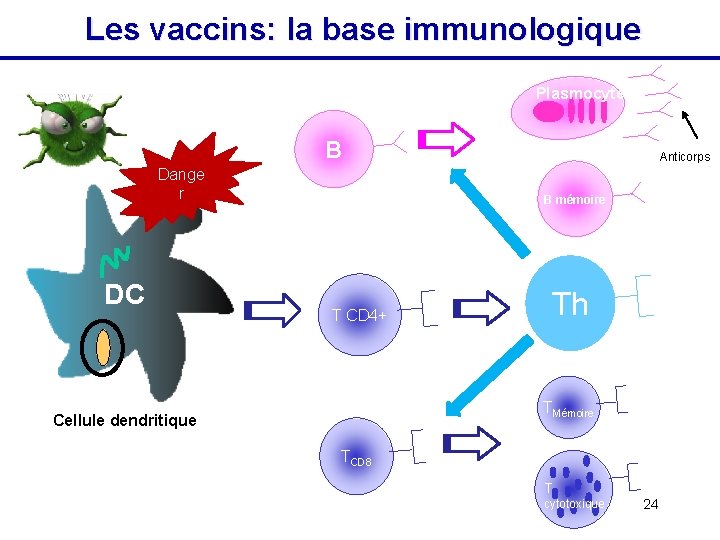 Les vaccins: la base immunologique Plasmocytes B Dange r DC Anticorps B mémoire T