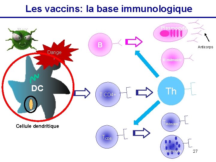 Les vaccins: la base immunologique Plasmocytes B Dange r DC Anticorps B mémoire T