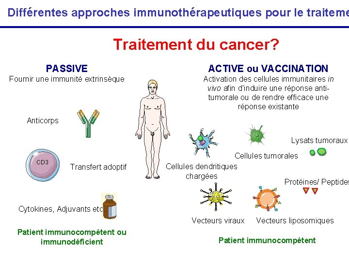 Différentes approches immunothérapeutiques pour le traiteme L’immunothérapie des cancers Traitement du cancer? PASSIVE ACTIVE