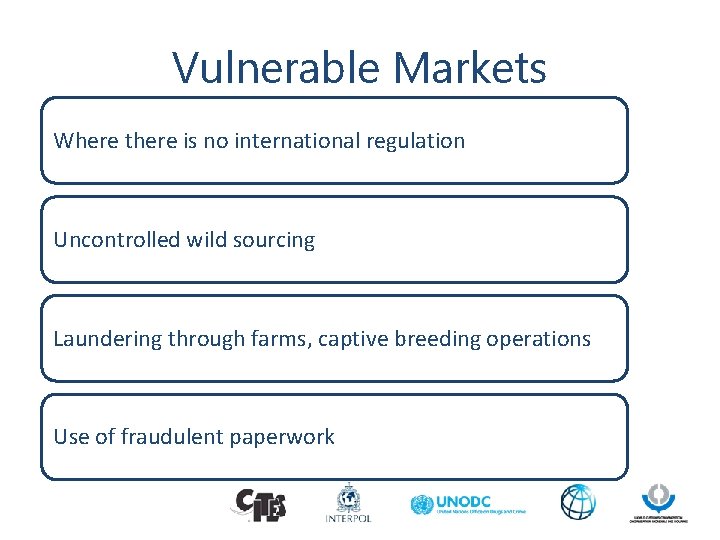 Vulnerable Markets Where there is no international regulation Uncontrolled wild sourcing Laundering through farms,