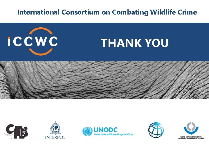 International Consortium on Combating Wildlife Crime THANK YOU 