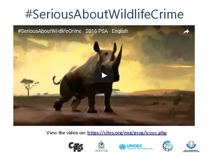 #Serious. About. Wildlife. Crime View the video on: https: //cites. org/eng/prog/iccwc. php 