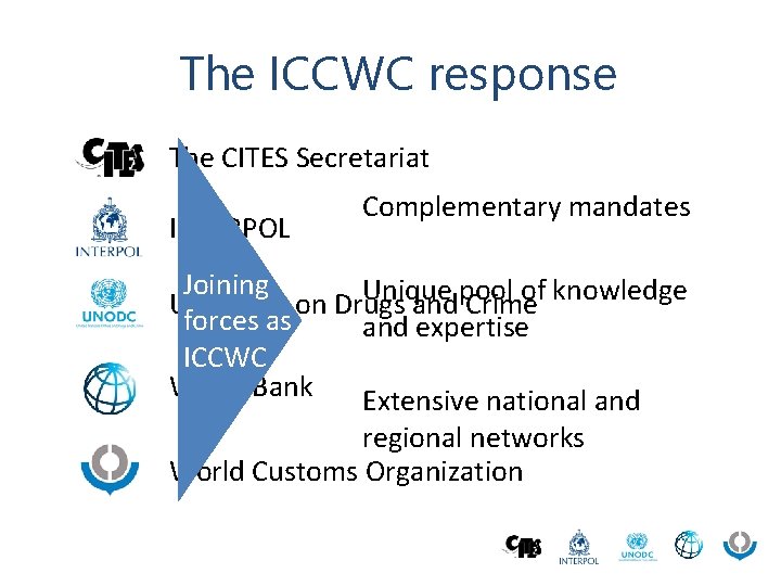 The ICCWC response The CITES Secretariat INTERPOL Complementary mandates Joining Unique of knowledge UN