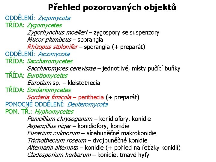 Přehled pozorovaných objektů ODDĚLENÍ: Zygomycota TŘÍDA: Zygomycetes Zygorhynchus moelleri – zygospory se suspenzory Mucor